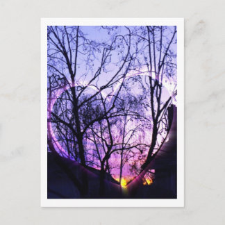 Suburb in Southern California Postcard