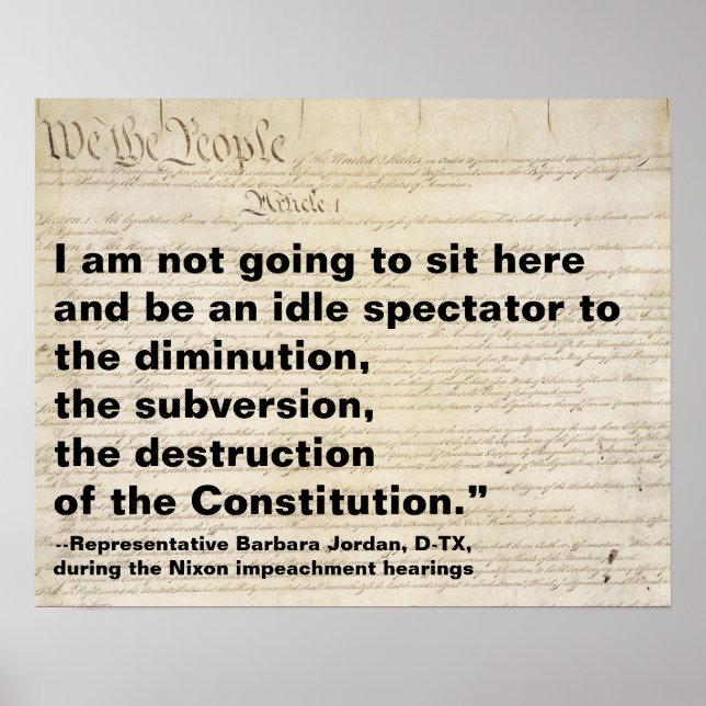 Subversion and Destruction of Constitution Protest Poster (Front)