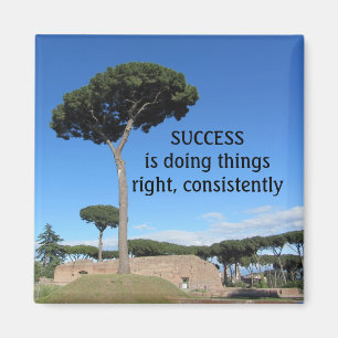 Success Motivational Magnet