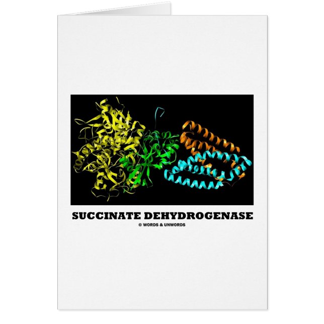 Succinate Dehydrogenase (Chemistry) (Front)