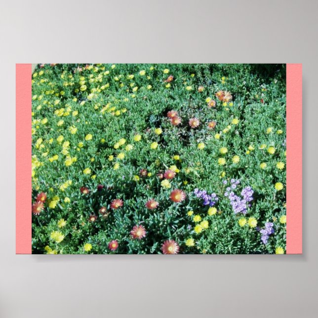 Succulant Bed Poster (Front)
