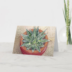 Succulent Agave victoriae-reginae Greeting Card