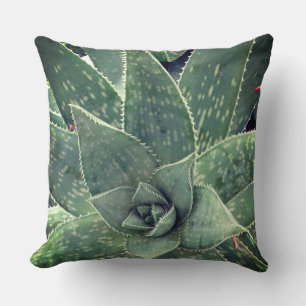 Succulent Aloe Plant Photography  Cushion