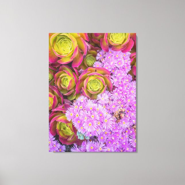 Succulent and Flowers Canvas Print (Front)