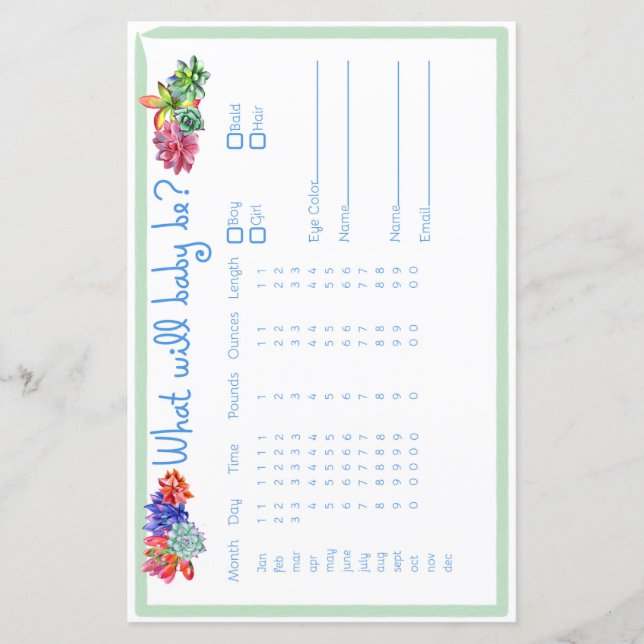 Succulent Baby Predictor Baby Shower (Front)