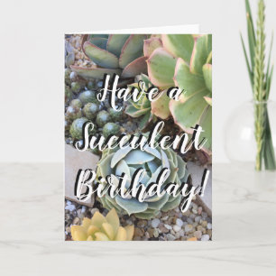 Succulent Birthday Card