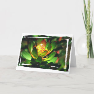 Succulent Bud Card