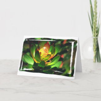 Succulent Bud Card