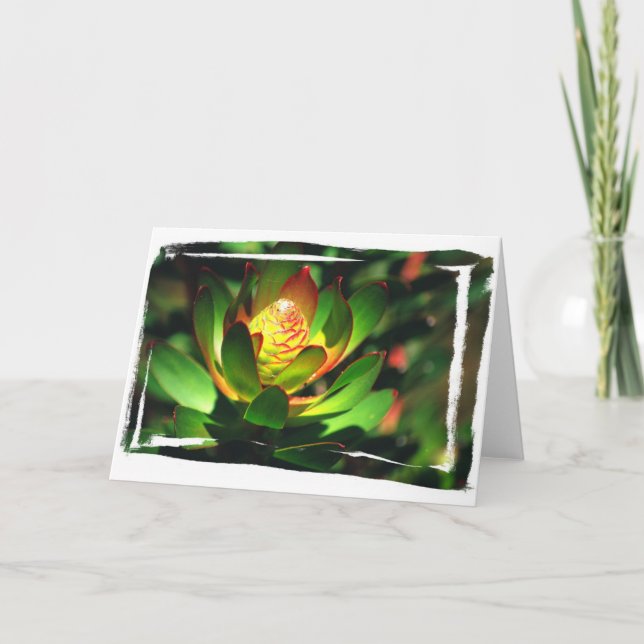 Succulent Bud Card (Front)