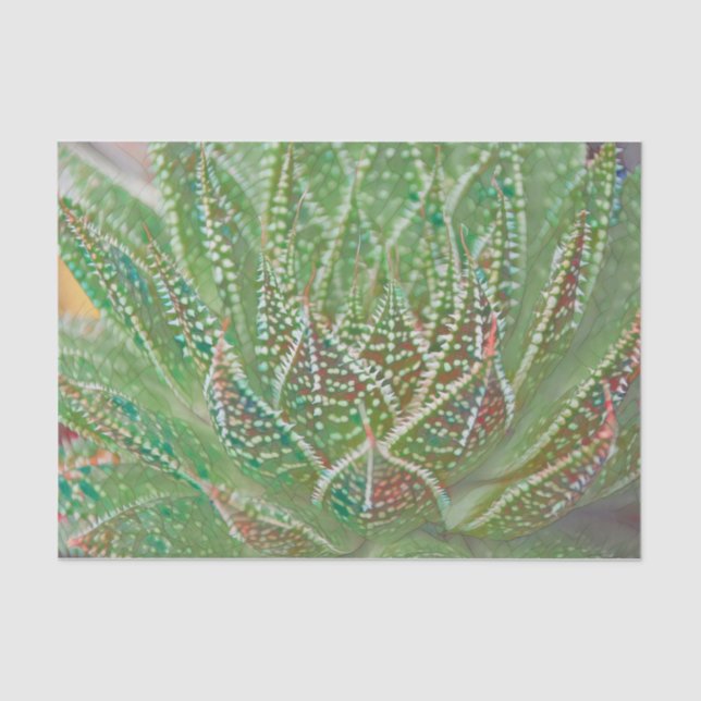 Succulent Cactus Plant Green Stained Glass Art Tissue Paper (Front)