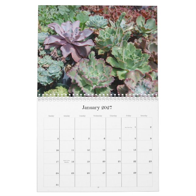 Succulent Calendar (Jan 2027)