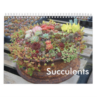 Succulent Calendar