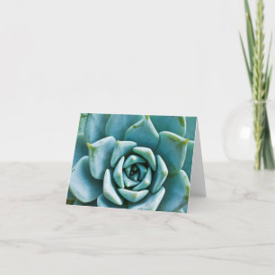 Succulent Card