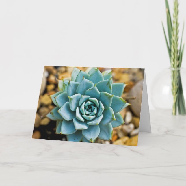 Succulent Card (Front)