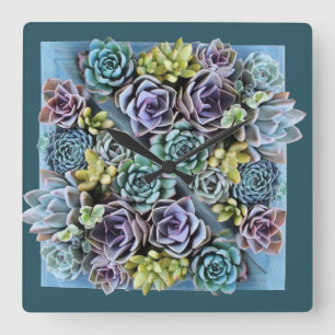succulent clock