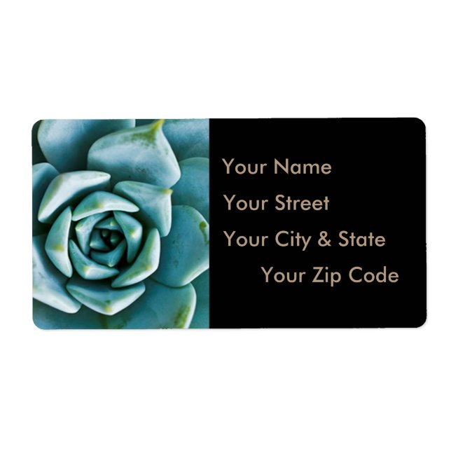 Succulent Closeup (Front)