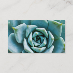 Succulent Closeup Business Card