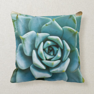 Succulent Closeup Cushion