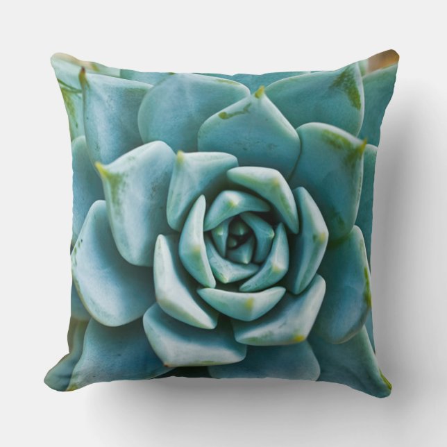 Succulent Closeup Cushion (Front)