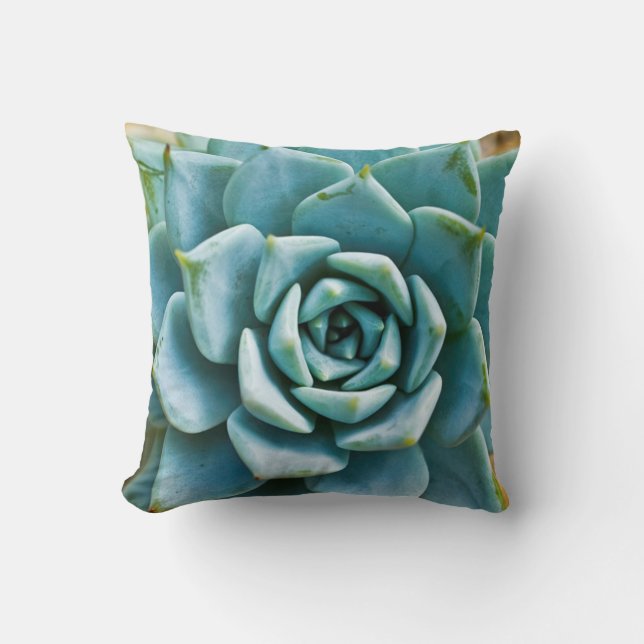 Succulent Closeup Cushion (Front)