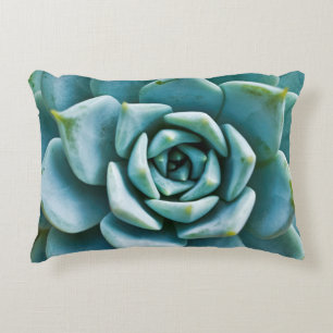 Succulent Closeup Decorative Cushion
