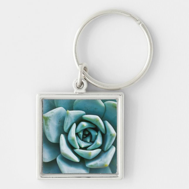Succulent Closeup Key Ring (Front)