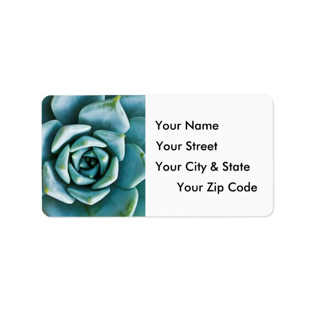 Succulent Closeup Label (Front)