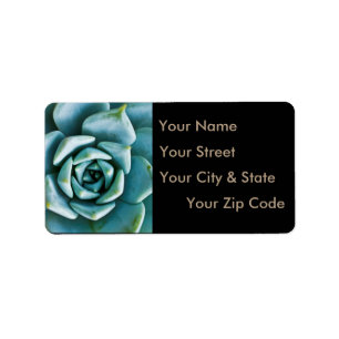 Succulent Closeup Label