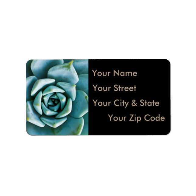 Succulent Closeup Label (Front)