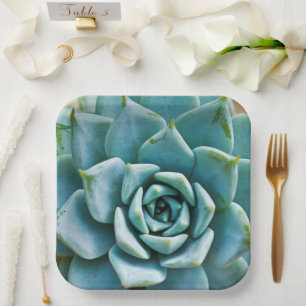 Succulent Closeup Paper Plate