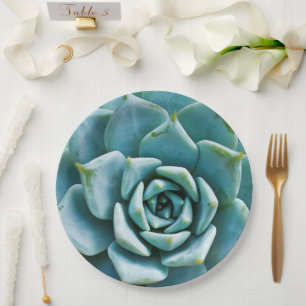 Succulent Closeup Paper Plate