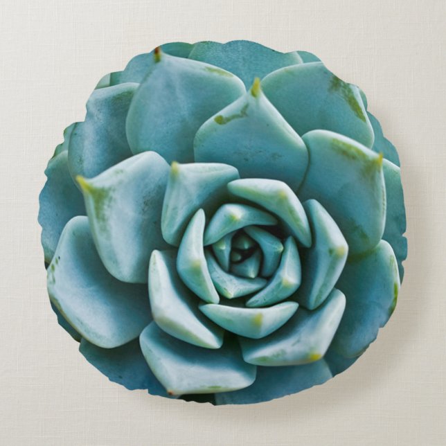 Succulent Closeup Round Cushion (Front)