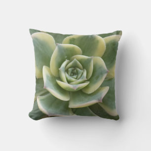 Succulent Cushion