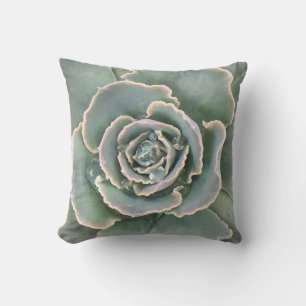 Succulent Cushion