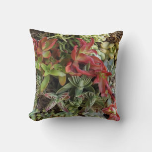 Succulent Cushion