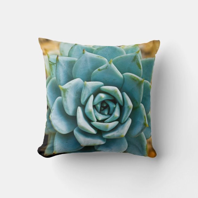 Succulent Cushion (Front)
