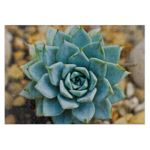 Succulent Cutting Board