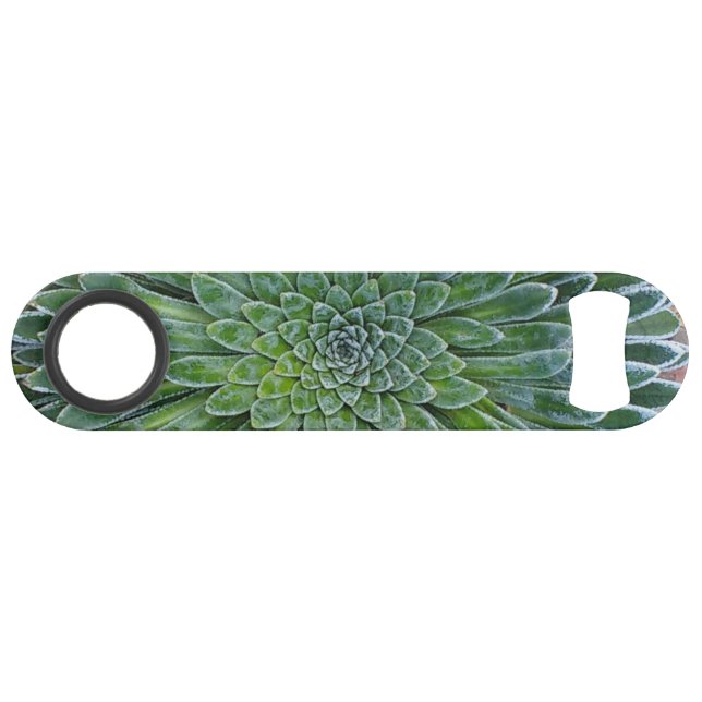 Succulent Desert plant (Back Horizontal)