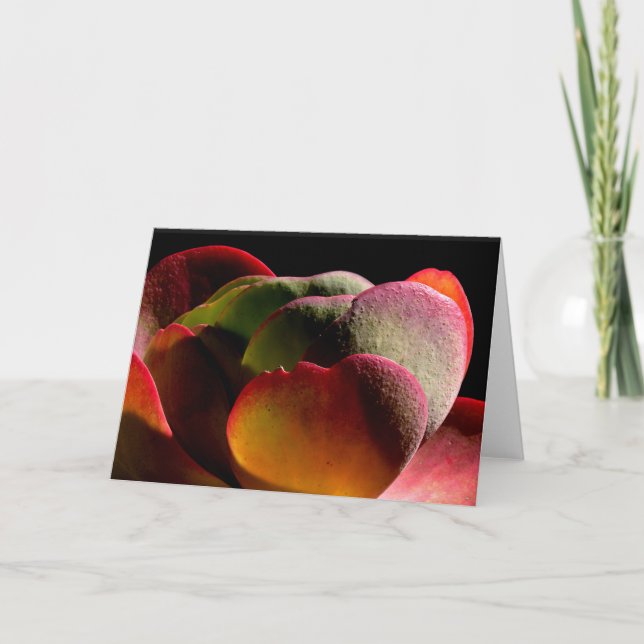 Succulent Desert Plant Card (Front)