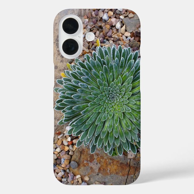 Succulent Desert plant Case-Mate iPhone Case (Back)