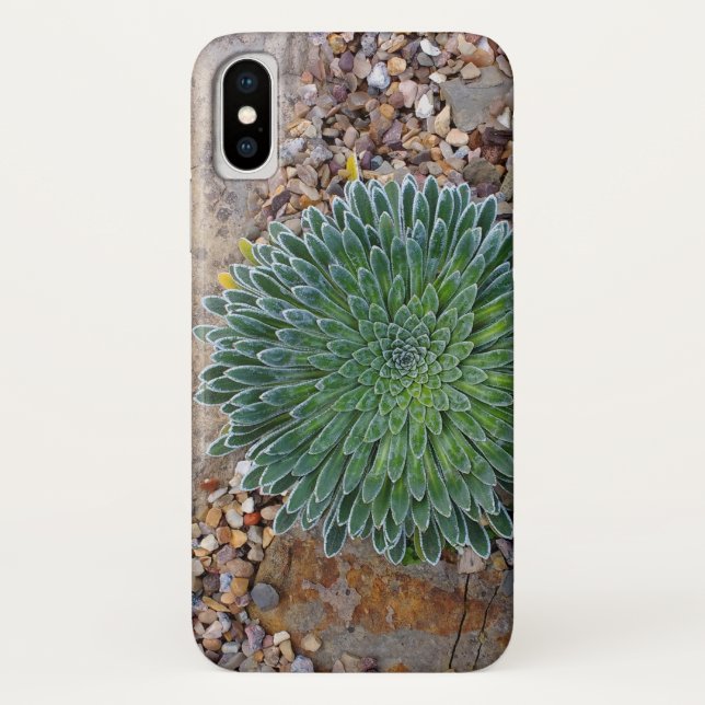 Succulent Desert plant Case-Mate iPhone Case (Back)