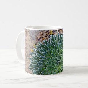Succulent Desert plant Coffee Mug