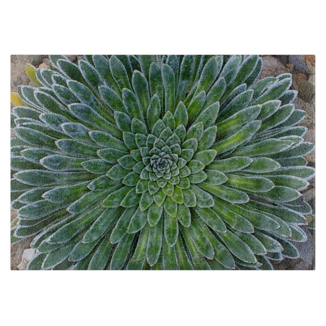 Succulent Desert plant Cutting Board (Front)