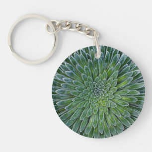 Succulent Desert plant Key Ring