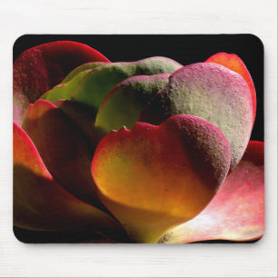 Succulent Desert Plant Mouse Mat