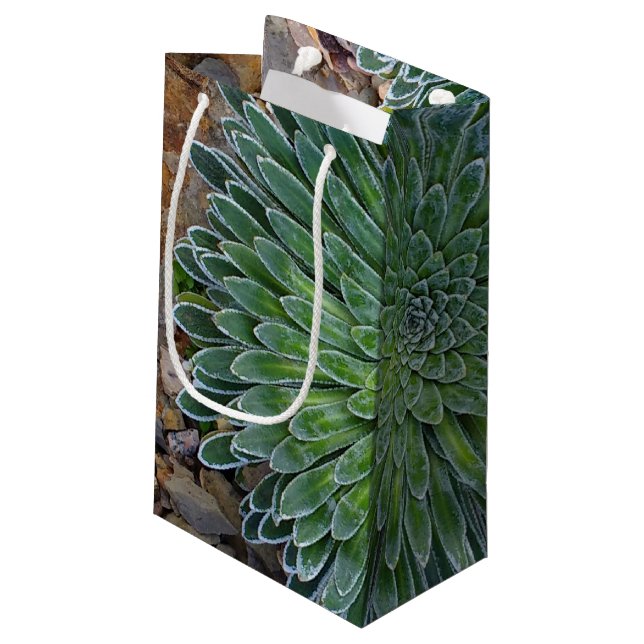 Succulent Desert plant Small Gift Bag (Back Angled)