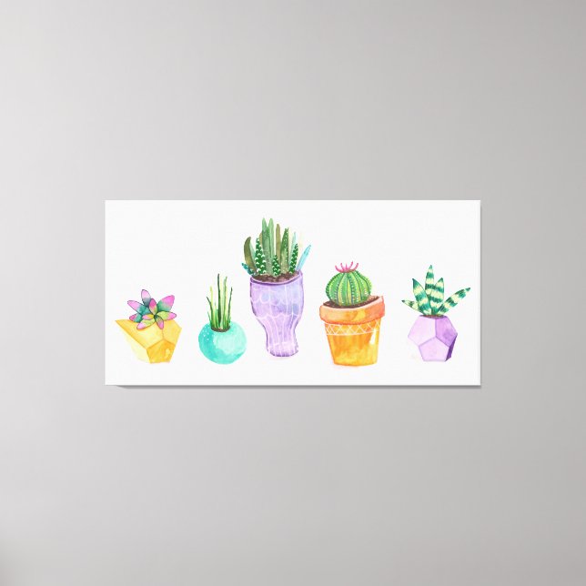 Succulent Display Canvas Print (Front)