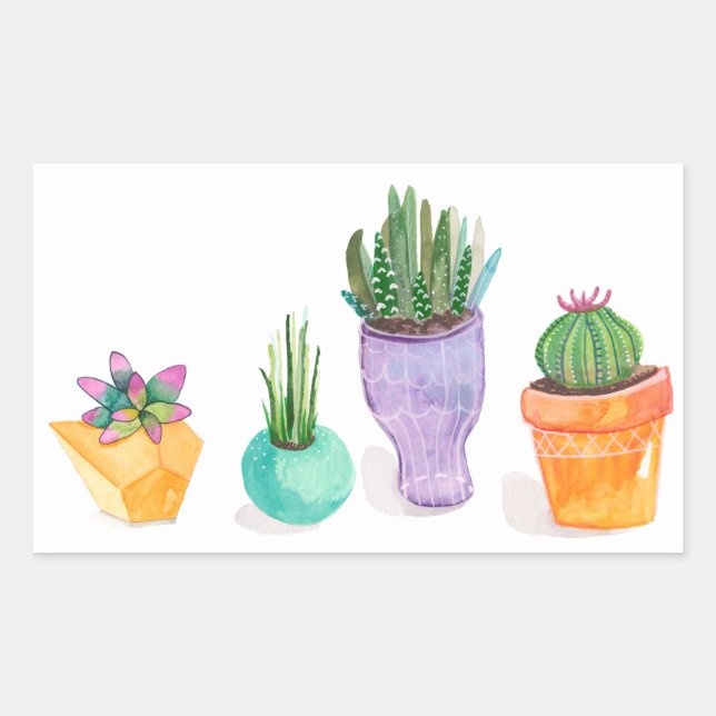 Succulent Display Rectangular Sticker (Front)