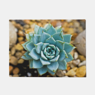 Succulent Doormat