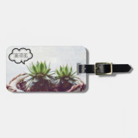 Succulent Dream Big Quote